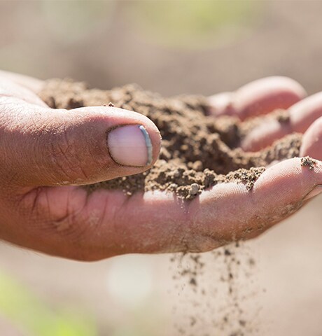 Primer plano de un granjero con tierra entre sus manos