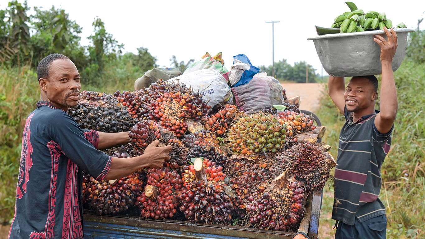 LOS AGRICULTORES DESA- FÍAN LA INESTABILIDAD MUNDIAL