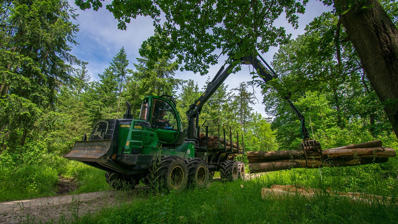 Transportador de troncos 2510H en el bosque