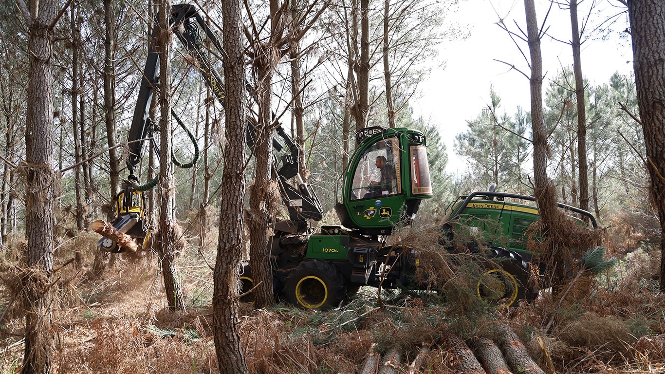 Harvester in the forest