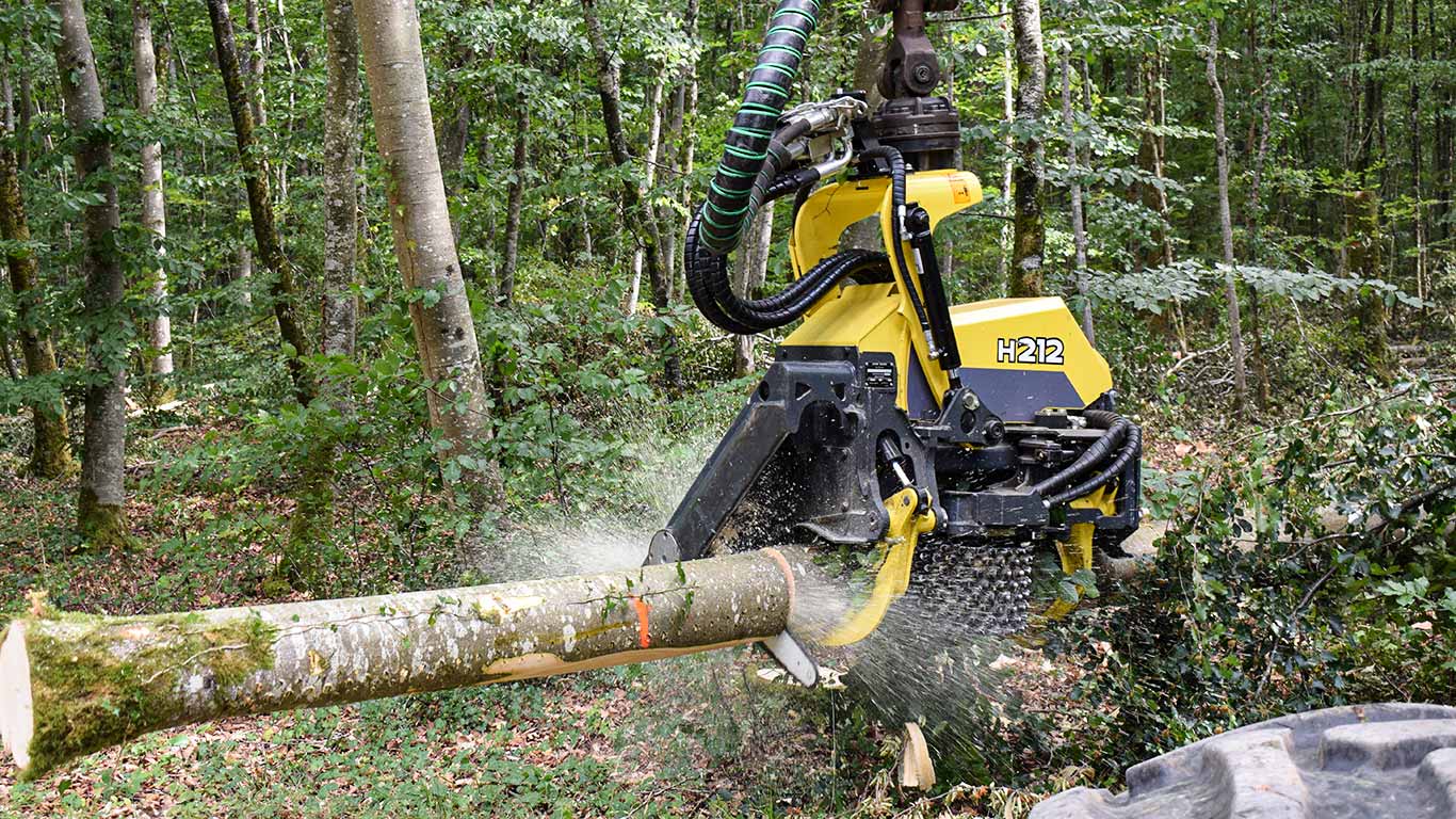 Cabezal de procesadora en el bosque